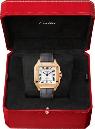 Купить копии элитных часов  Cartier Santos De WGSA0019: в наличии!