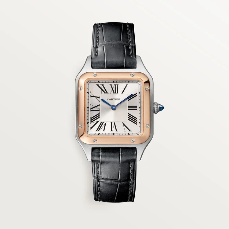 Купить копии элитных часов  Cartier SANTOS-DUMONT W2SA0012: в наличии!