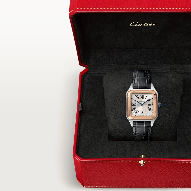 Купить копии элитных часов  Cartier SANTOS-DUMONT W2SA0012: в наличии!