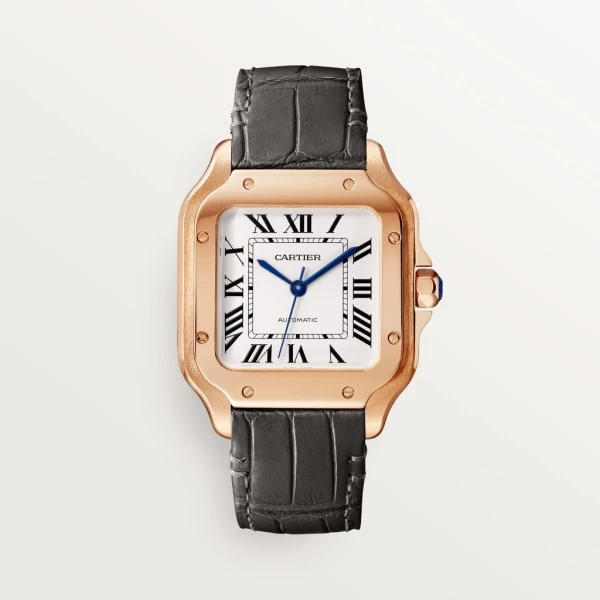 Купить копии элитных часов  Cartier SANTOS WGSA0028: в наличии!