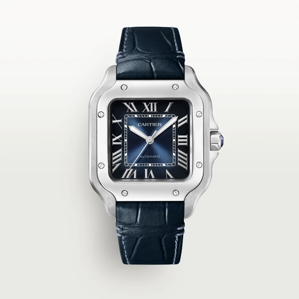 Купить копии элитных часов  Cartier Santos de  Watch WSSA0063: в наличии!