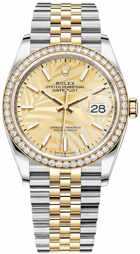 Datejust Oyster Perpetual 36 mm