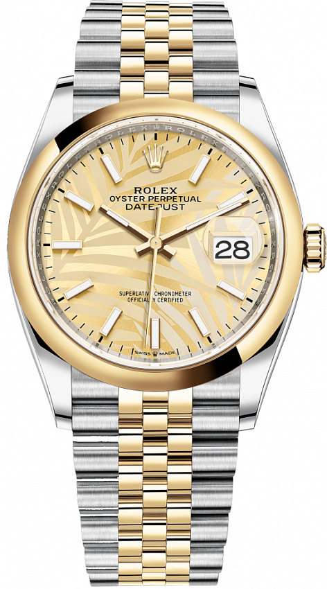 Datejust Oyster Perpetual 36 mm